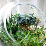 escapades artisanales terrarium Maryline APortée2Mains carré