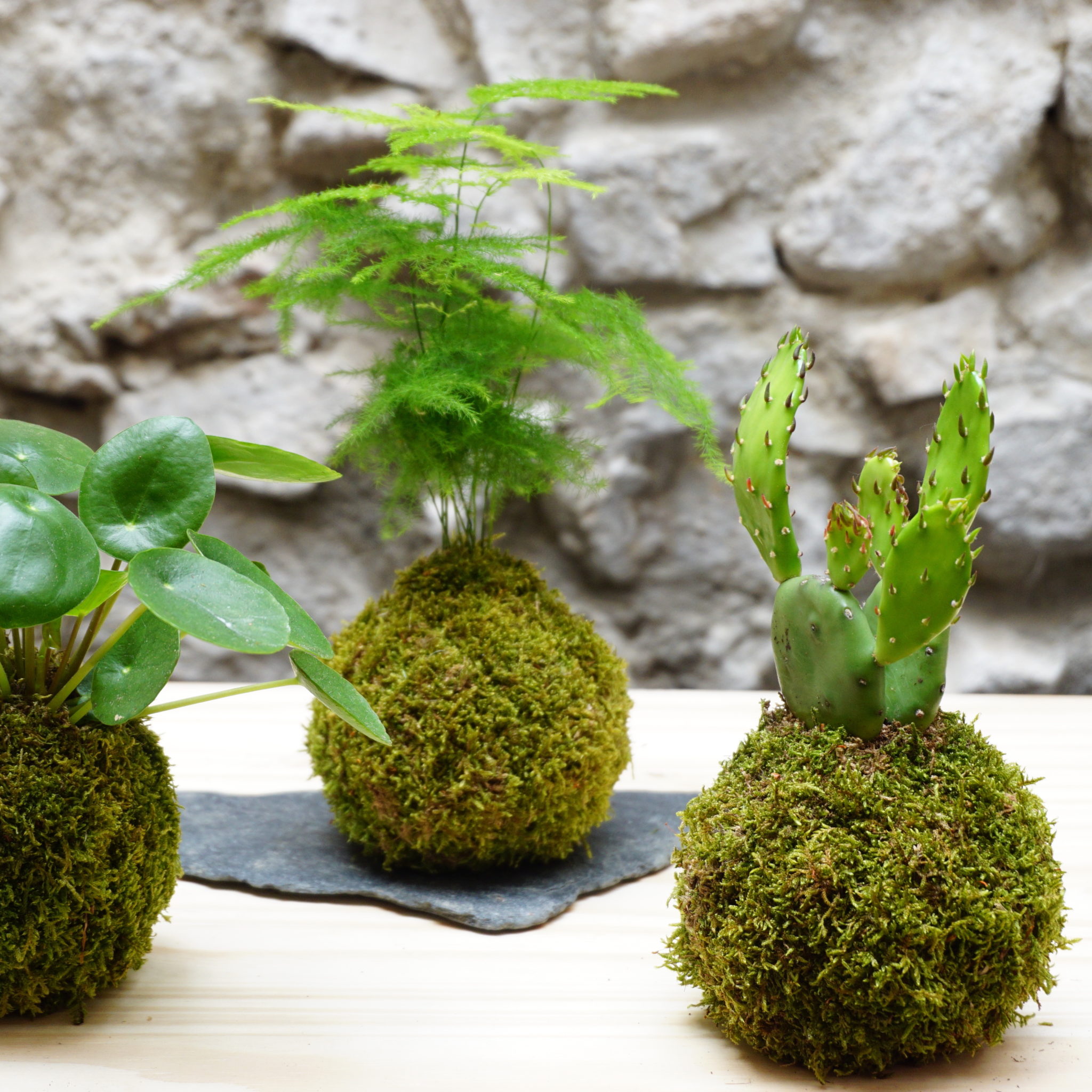Kokedama Création végétale japonaise Escapade Artisanale dans le Pilat